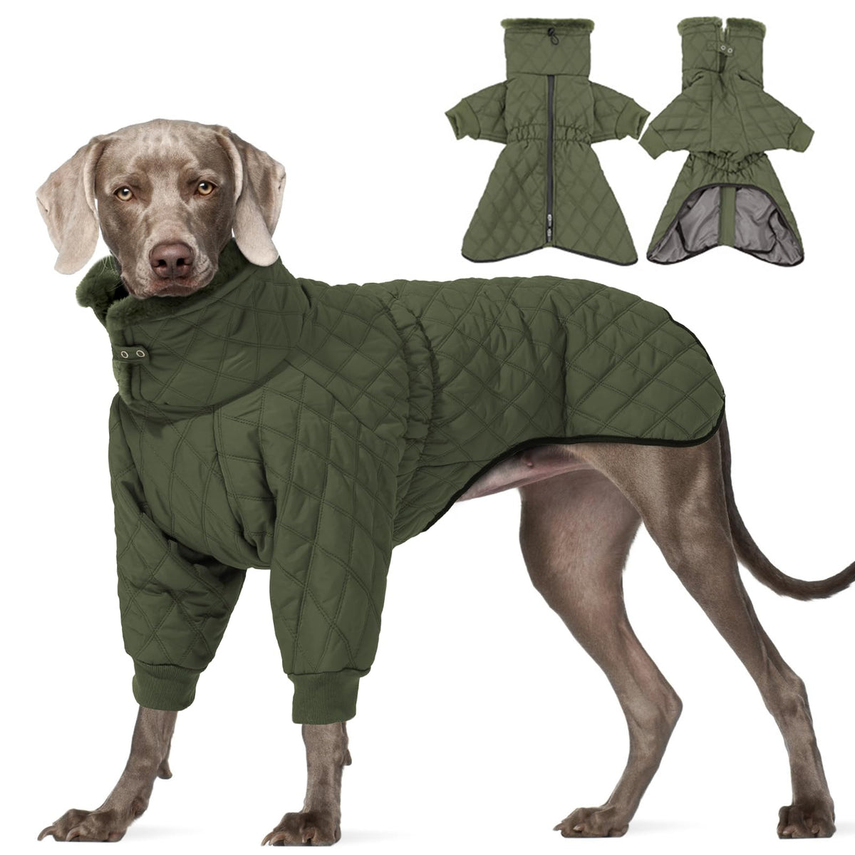 Winter Coat for Large Dogs