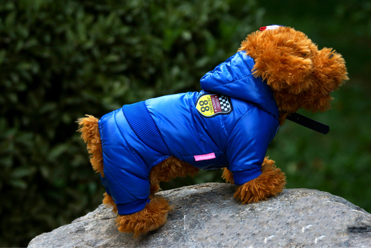Autumn Winter Pet Down Cotton Jacket for Dogs