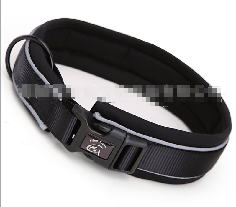 Reflective Dog Collar and Leash with Accessories