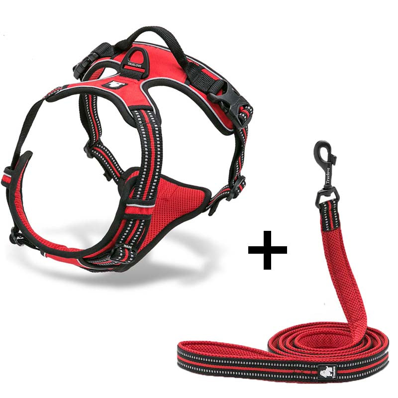 Pet Dog Harness and Leash for Walking