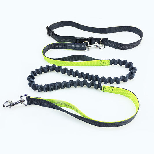 Dog Running Leash for Pet Supplies