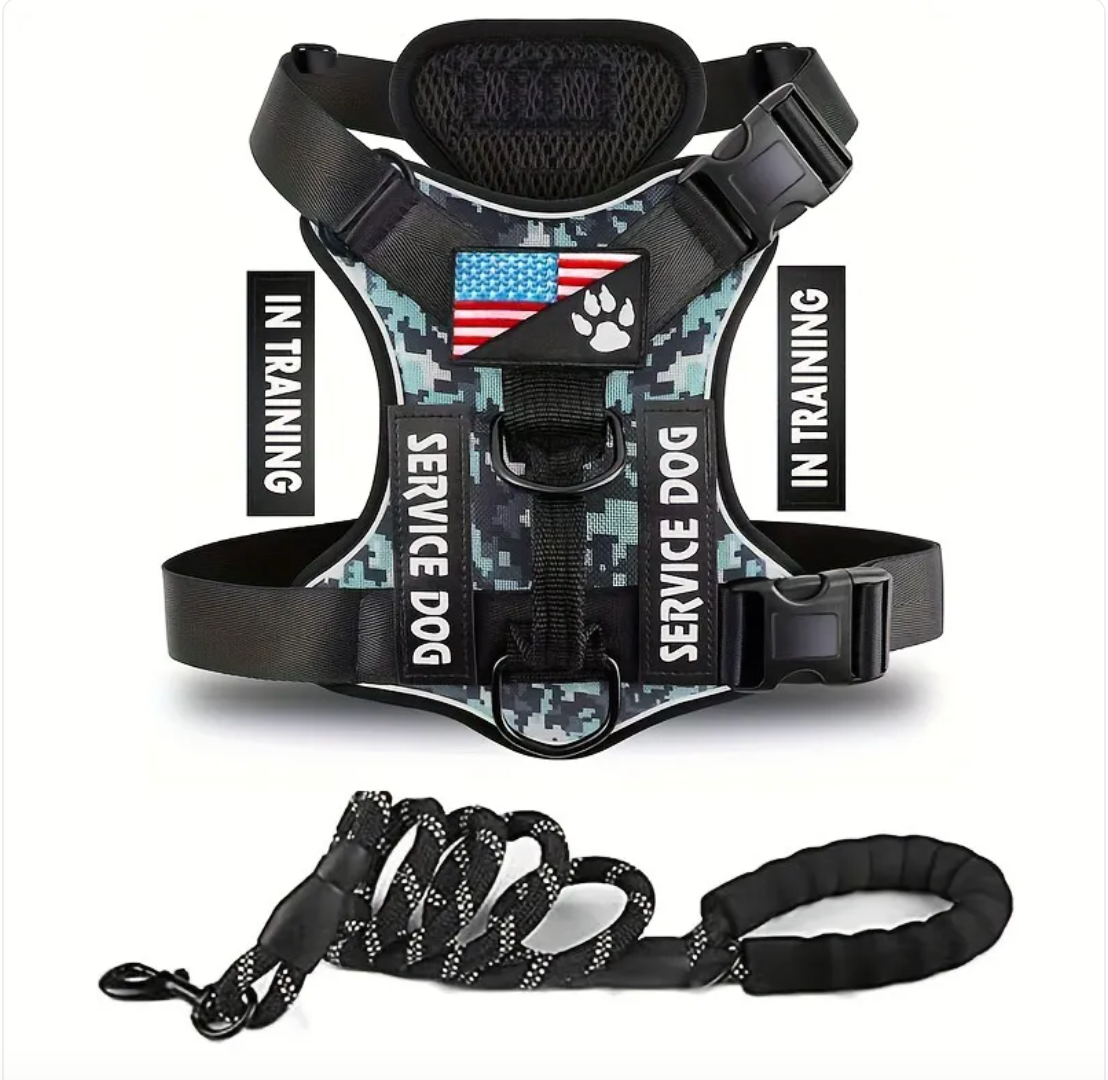 Adjustable Dog Harness & Leash Set