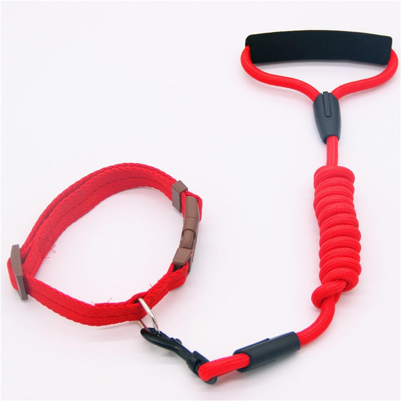 Dog Leash and Collar Set with Chain