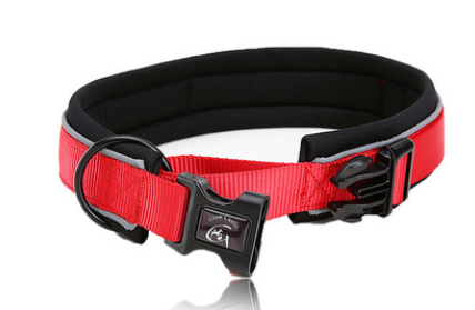 Reflective Dog Collar and Leash with Accessories