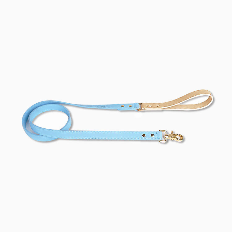 Leather Dog Leash & Collar