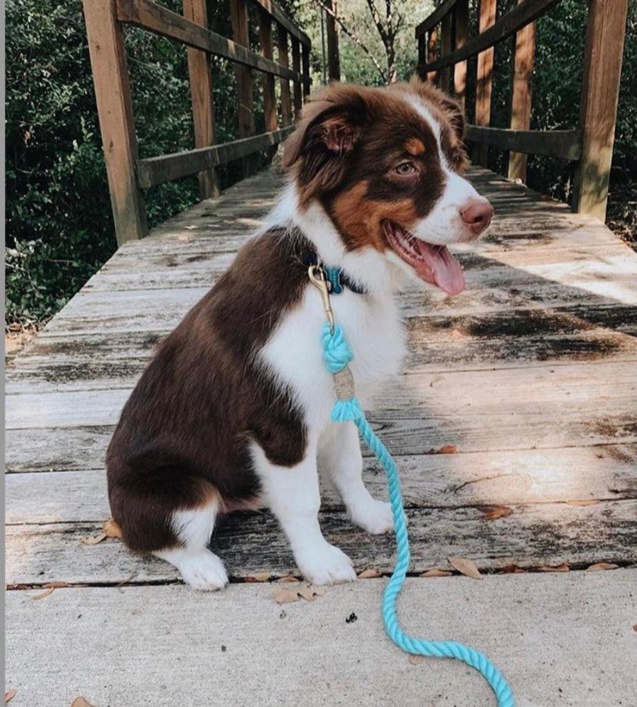 ROPE LEASH - BUBBLES