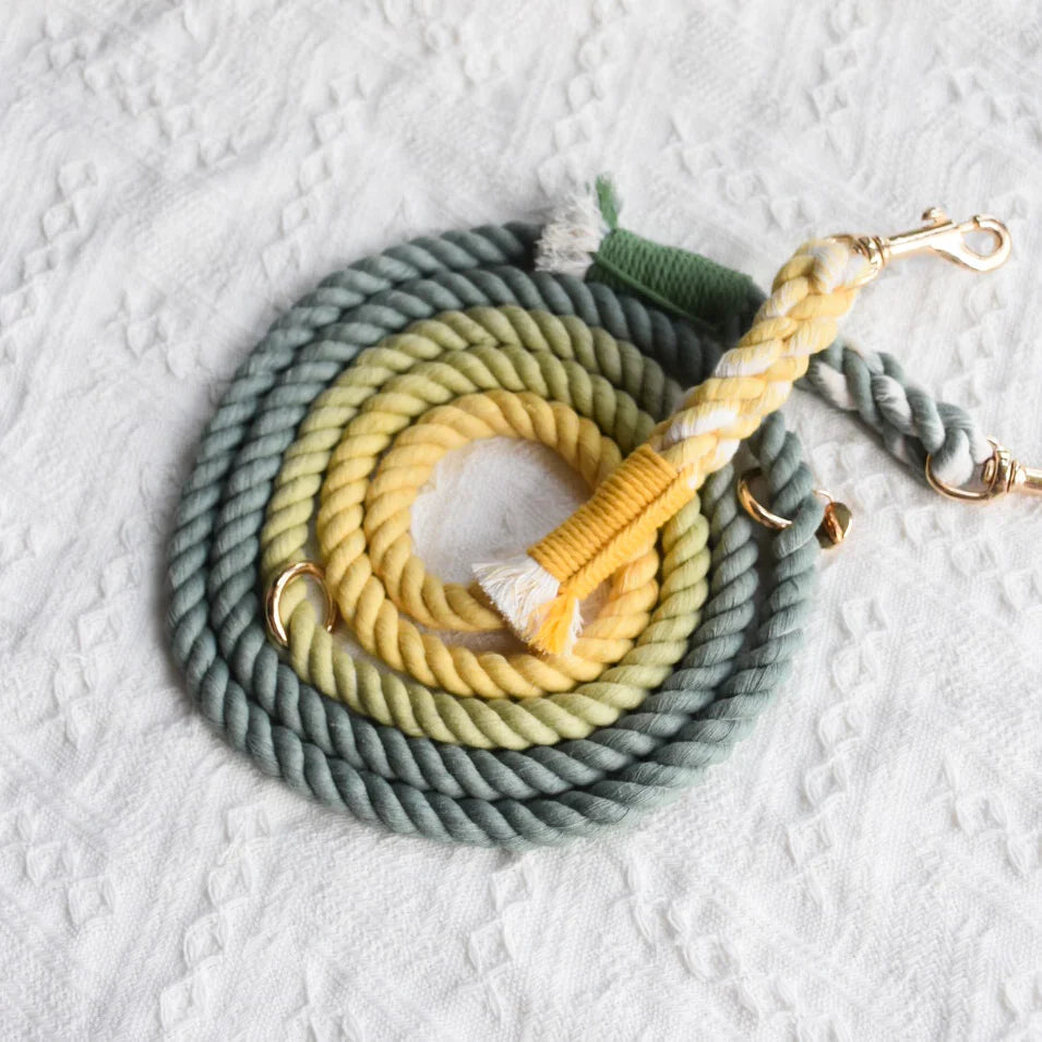 HANDS FREE DOG ROPE LEASH - AVOCADO