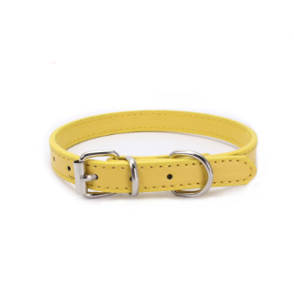 Cat and Dog Collar with Leash