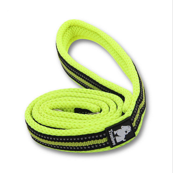 Pet Dog Leash for Walking and Training
