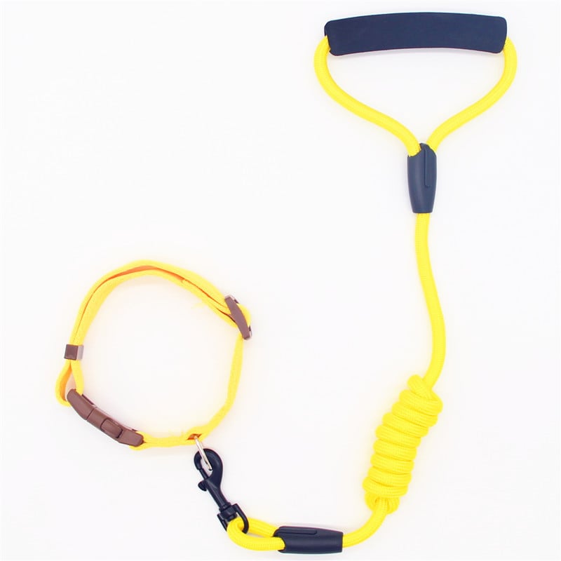 Dog Leash and Collar Set with Chain