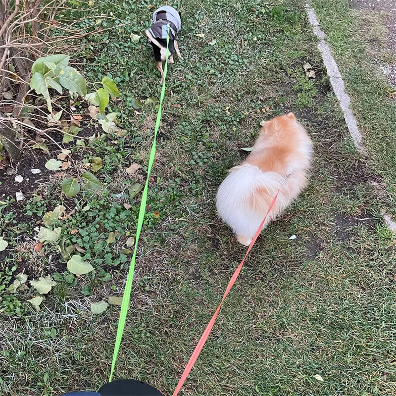 360 Reflective Dual Retractable Dog Leash