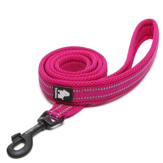 Pet Dog Leash for Walking and Training