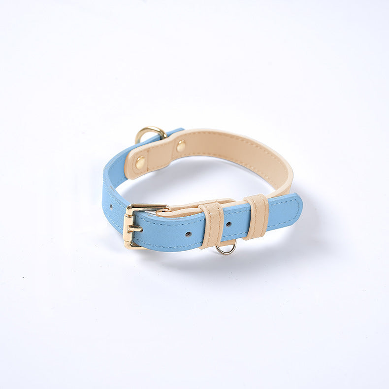 Leather Dog Leash & Collar