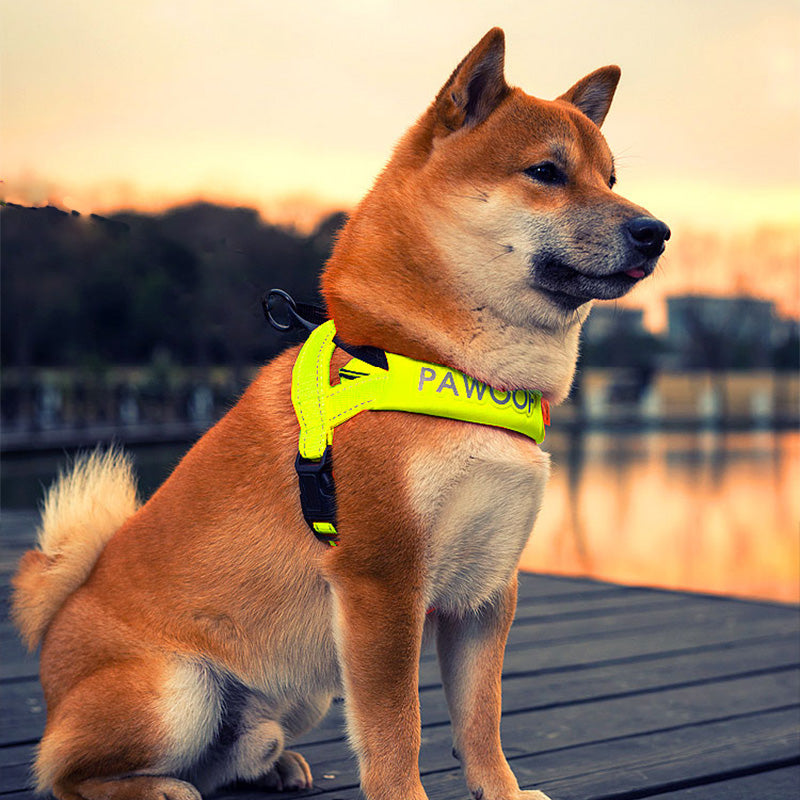Dog Chest Strap with Leash Attachment