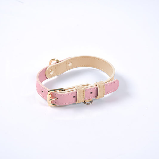 Leather Dog Leash & Collar