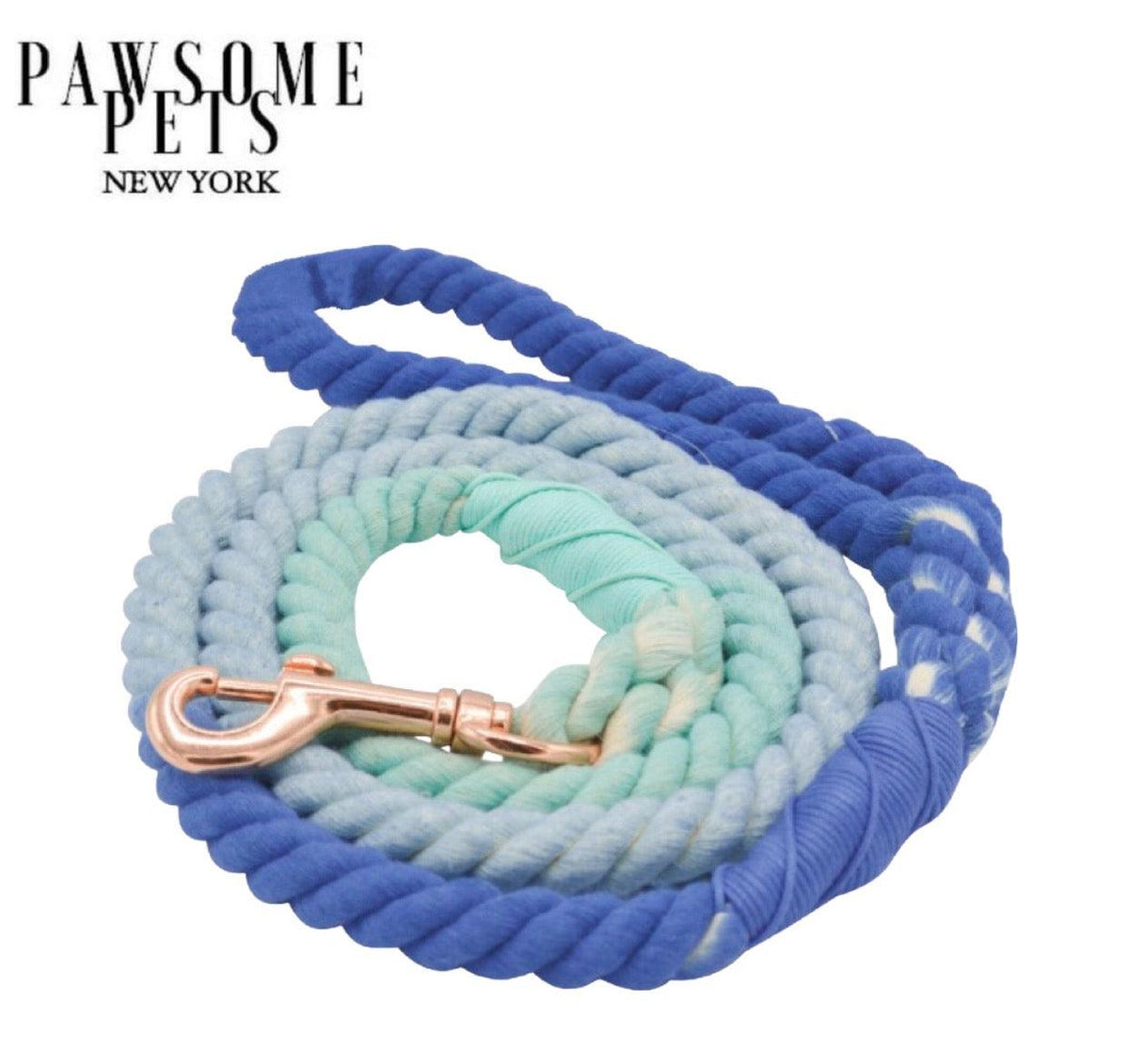 ROPE LEASH - OCEANSIDE RAINBOW