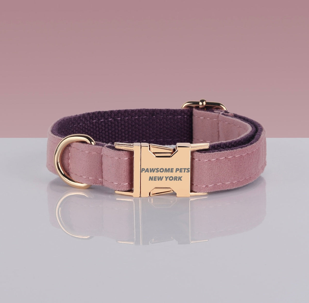 PAWSOME DOG COLLAR - #13