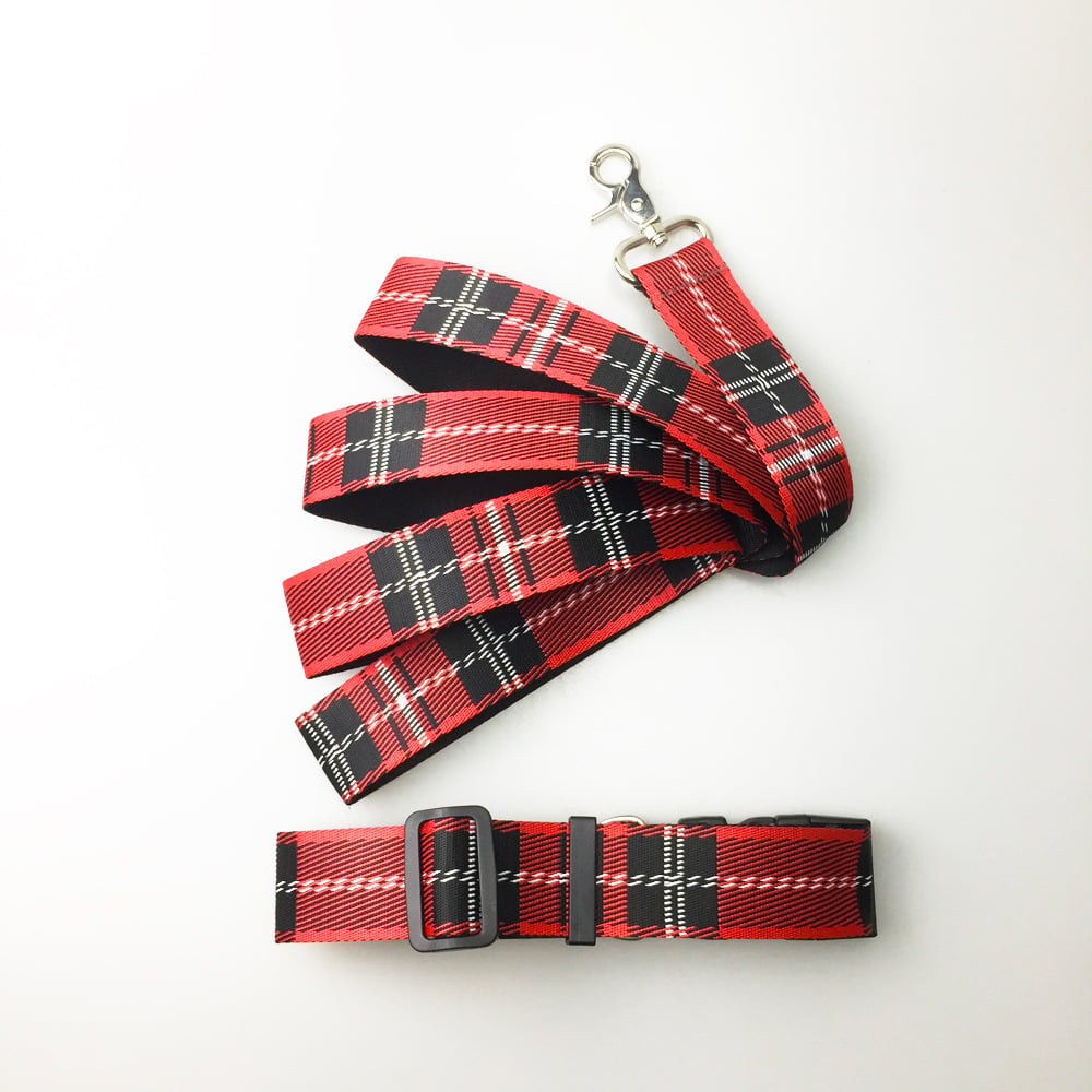 Check Pattern Dog Collar and Leash Set