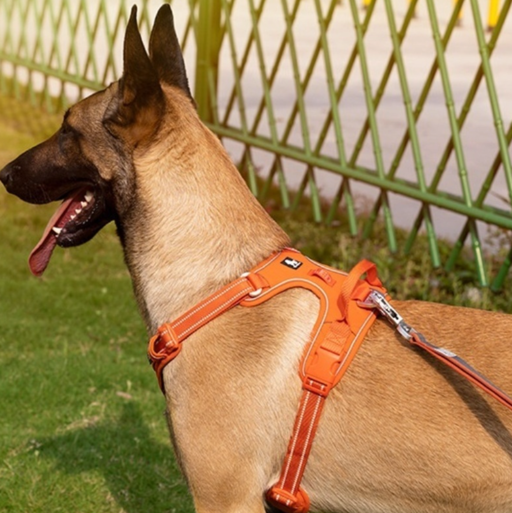 Reflective Dog Harness