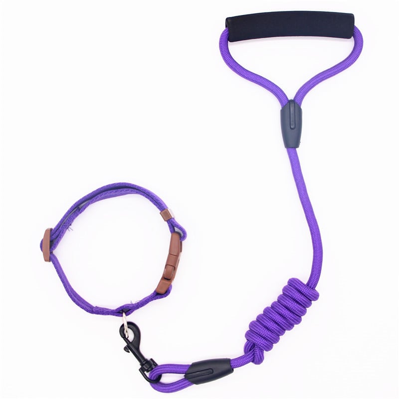 Dog Leash and Collar Set with Chain