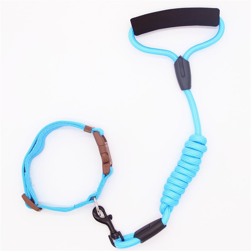 Dog Leash and Collar Set with Chain