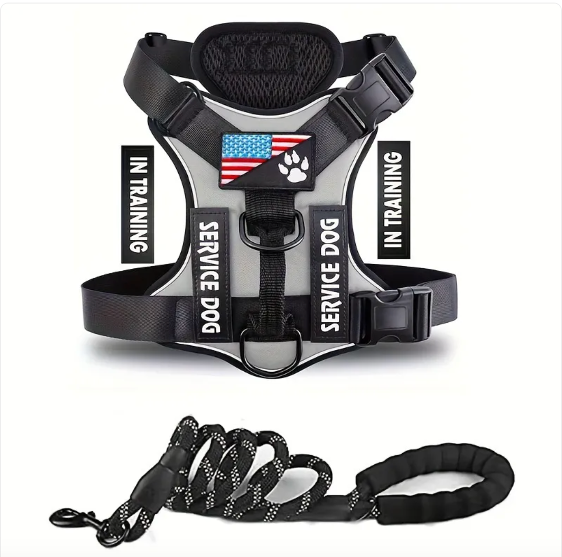 Adjustable Dog Harness & Leash Set