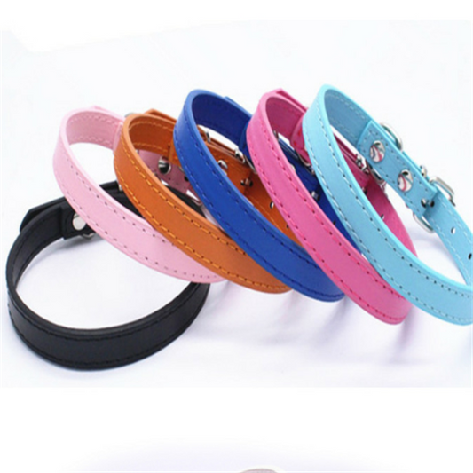Cat and Dog Collar with Leash