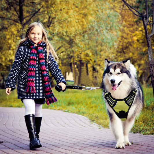 Reflective Anti-Explosion Dog Harness with Leash