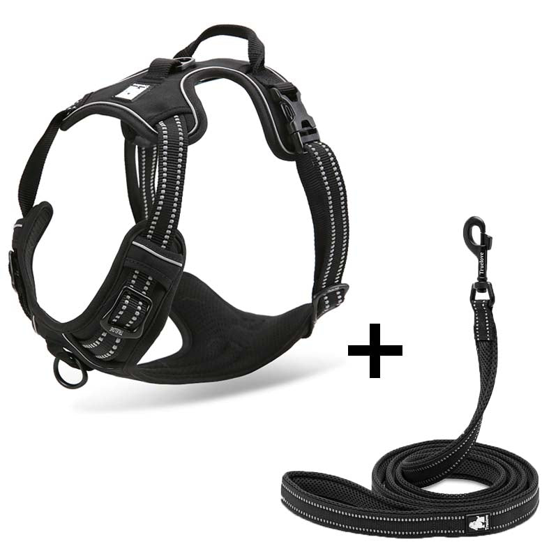 Pet Dog Harness and Leash for Walking