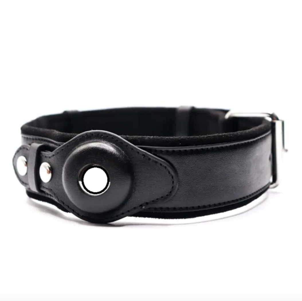 Leather Dog Collar with Location Tracker