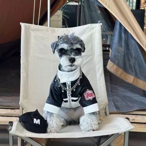 Embroidered Casual Leather Dog Clothes for Pets