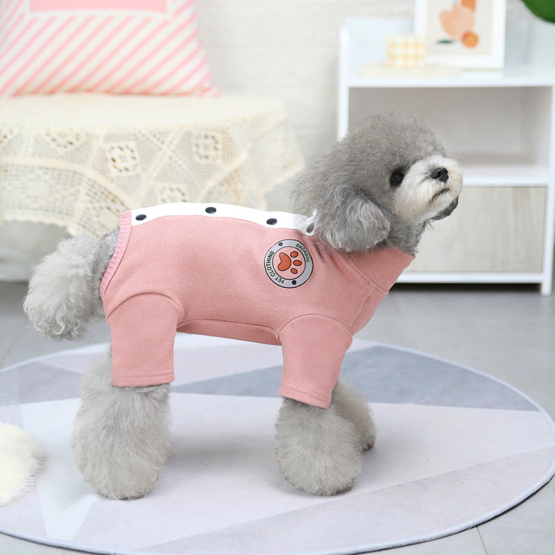 Winter Teddy Clothes for Small Dogs