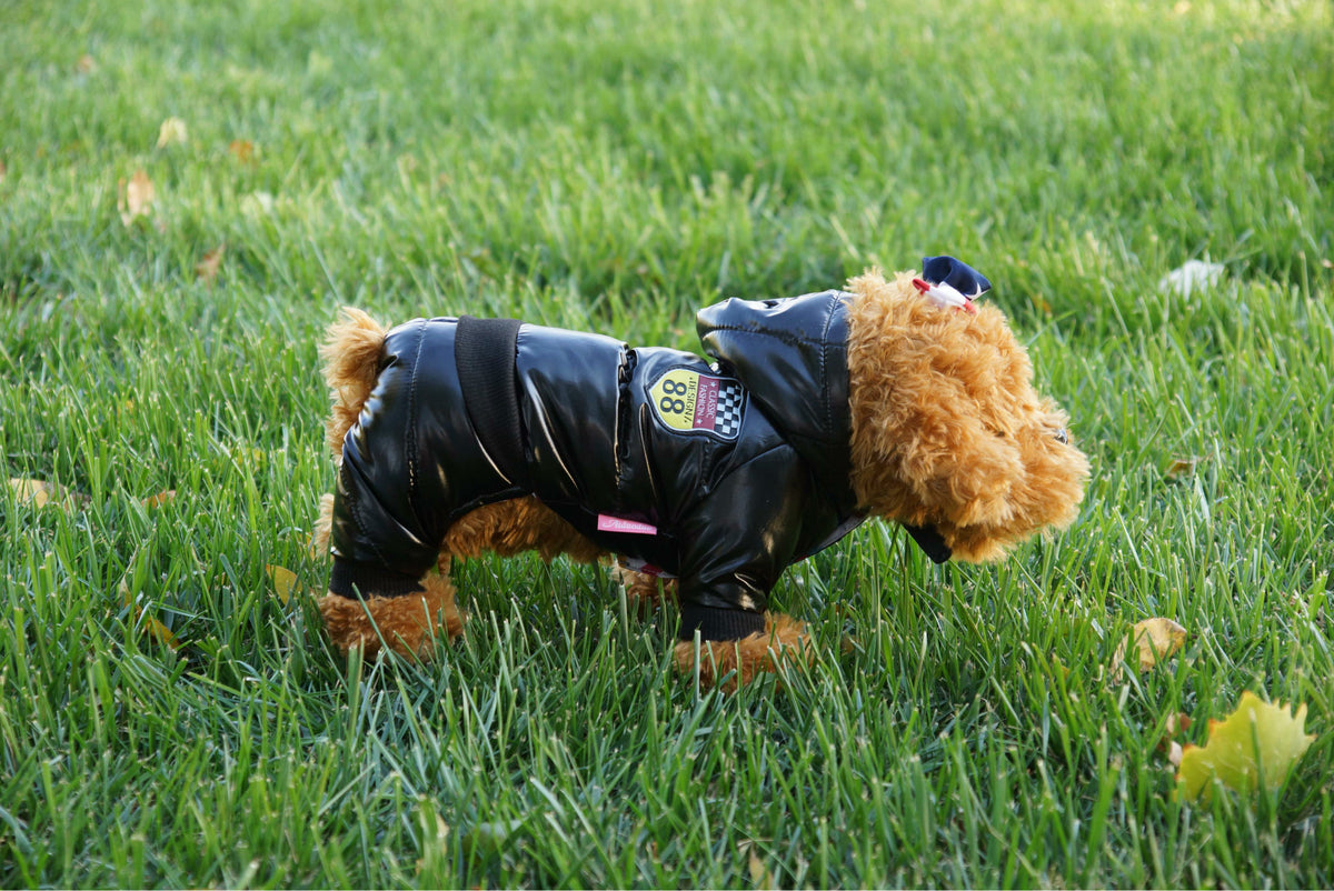 Autumn Winter Pet Down Cotton Jacket for Dogs