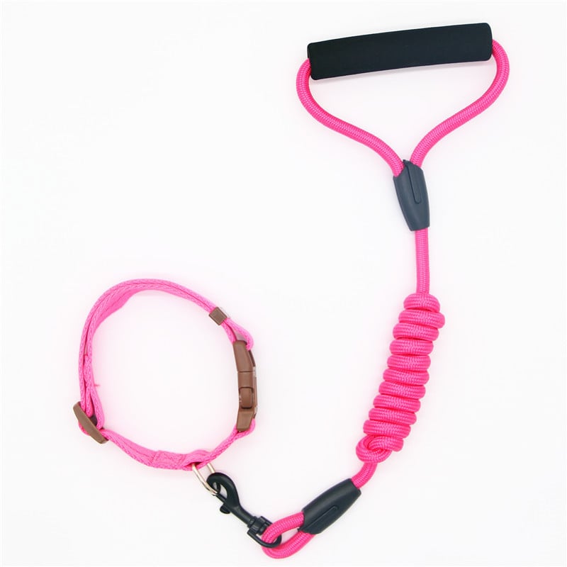 Dog Leash and Collar Set with Chain