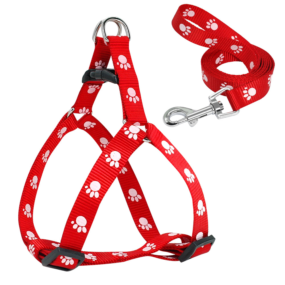 Printed Dog Leash
