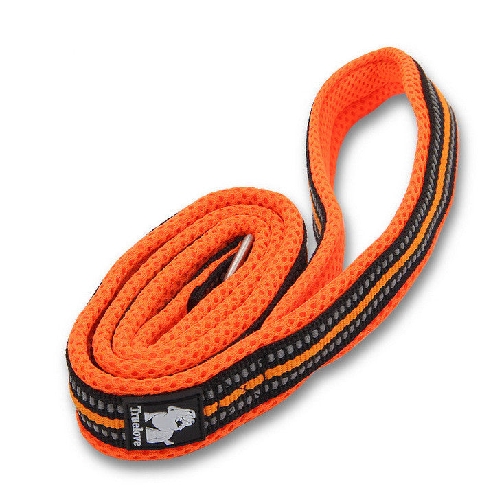 Pet Dog Leash for Walking and Training