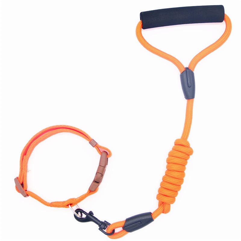 Dog Leash and Collar Set with Chain