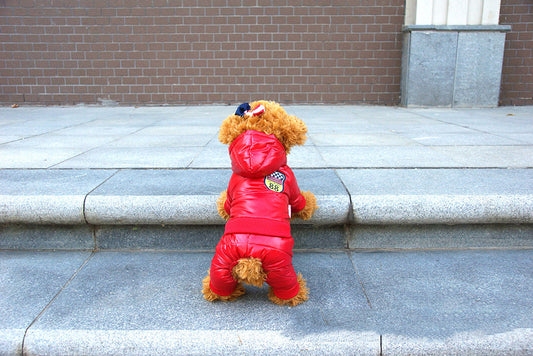 Autumn Winter Pet Down Cotton Jacket for Dogs