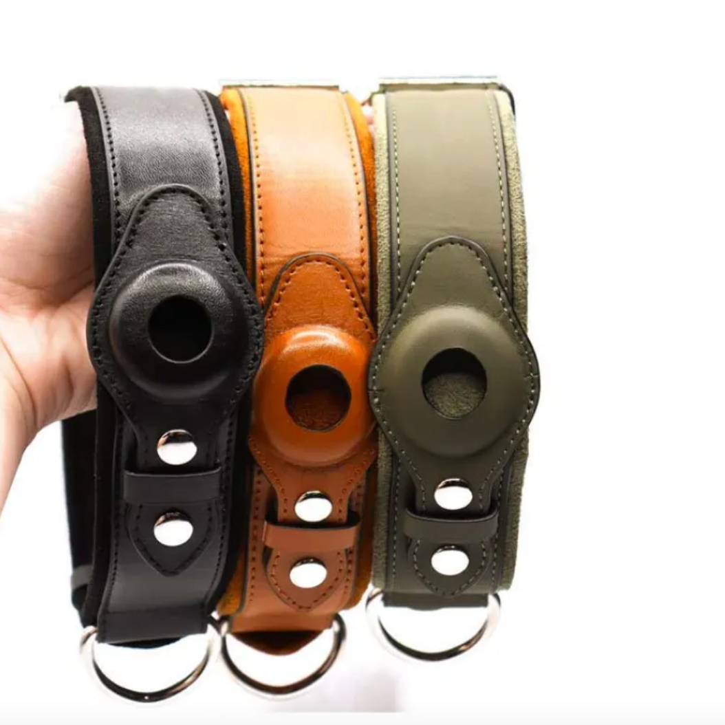 Leather Dog Collar with Location Tracker