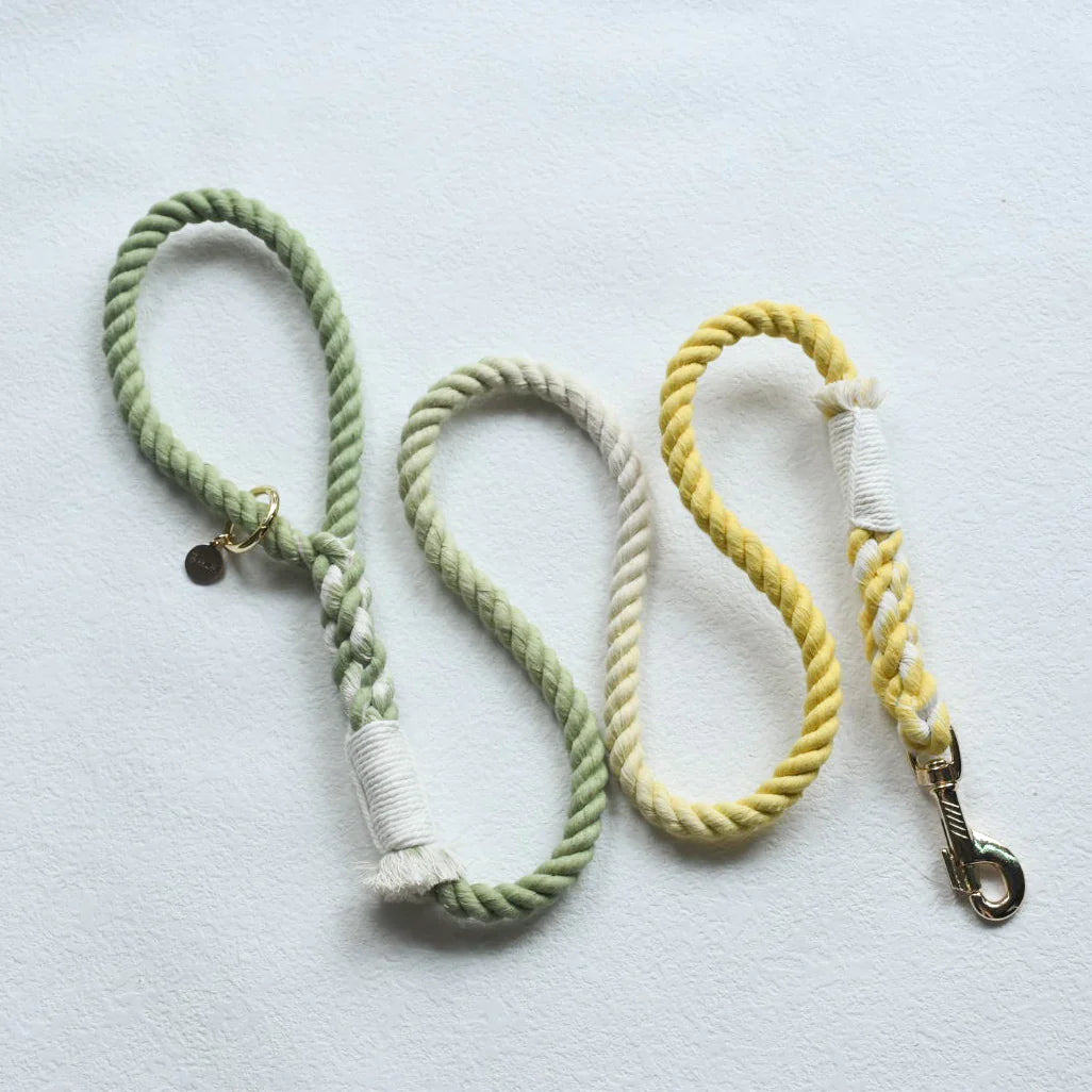 HANDS FREE DOG ROPE LEASH - LIME LEMONADE