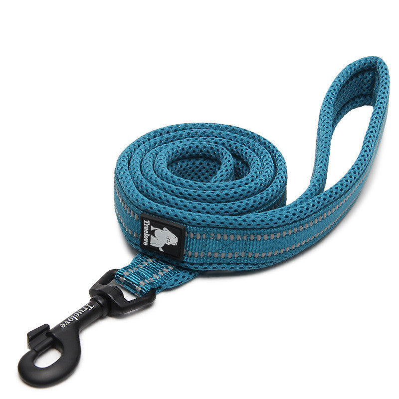 Pet Dog Leash for Walking and Training