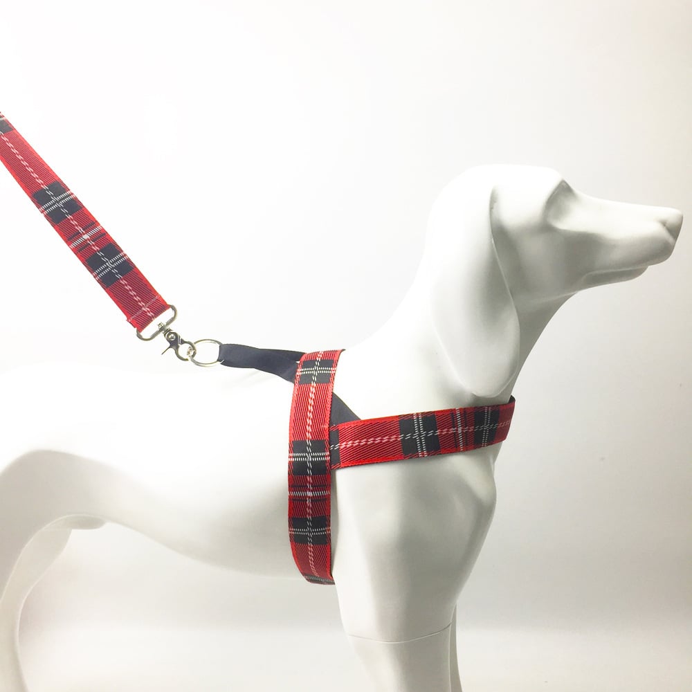 Adjustable Lattice Pet Dog Harness with Leash
