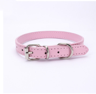 Cat and Dog Collar with Leash