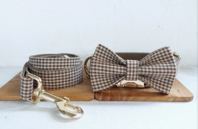 Teddy Dog Pen and Leash Set for Pets