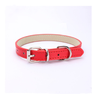 Cat and Dog Collar with Leash