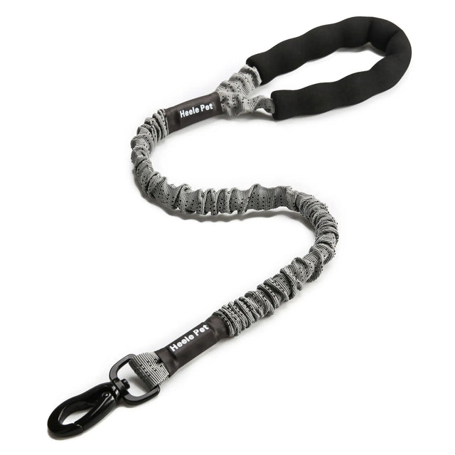 Cushioned Flexible Dog Leash with Elastic Buffering
