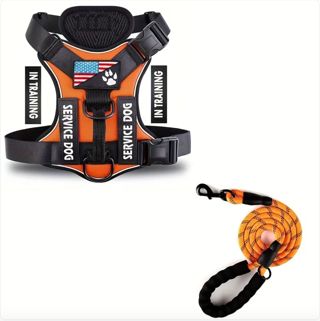 Adjustable Dog Harness & Leash Set