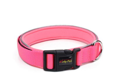 Reflective Dog Collar and Leash with Accessories