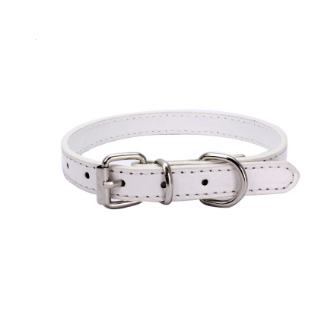 Cat and Dog Collar with Leash