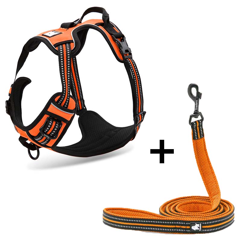 Pet Dog Harness and Leash for Walking
